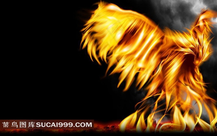 精美鹰形火焰壁纸设计