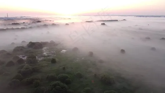 多雾路段, 早晨, 黎明, 草地, 景观, 夏天, 字段