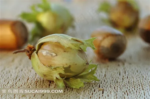 桌子上新鲜的榛子果肉