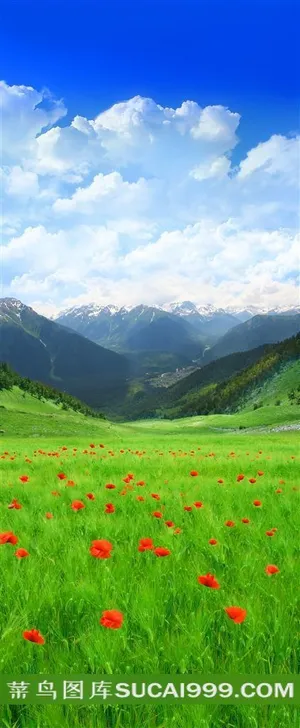 大山下花花草草图片素材