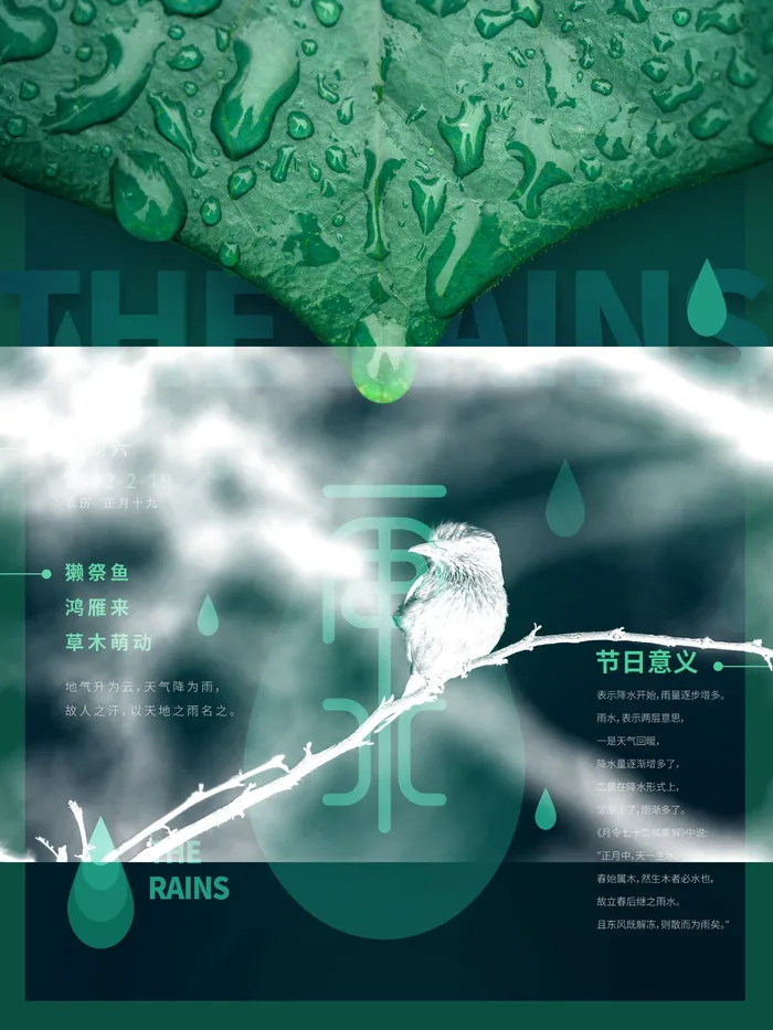 雨水节气宣传创意海报psd模版下载