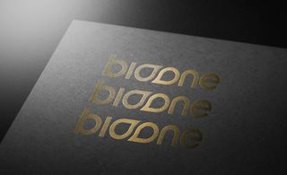 LOGO展示效果样机