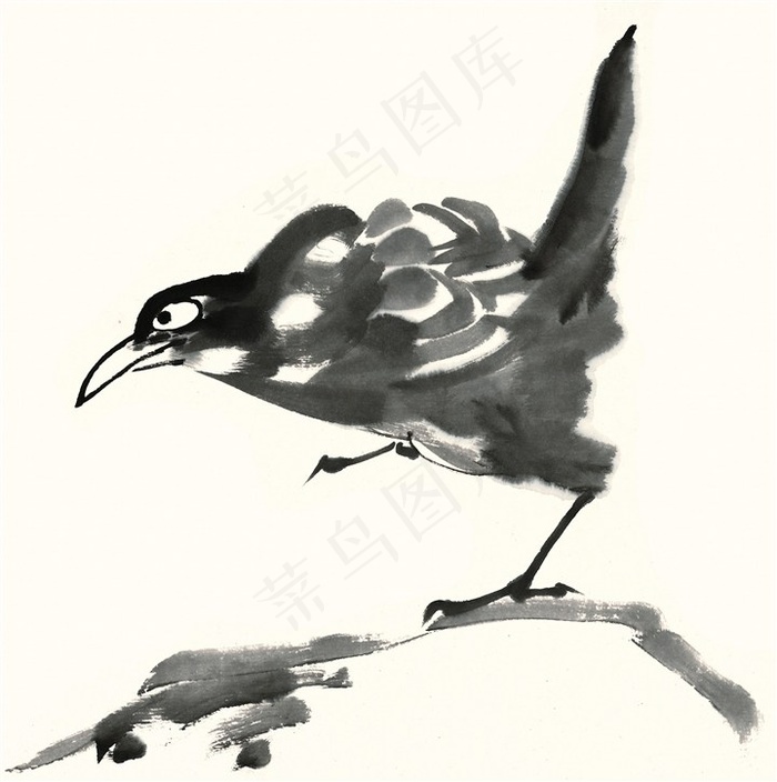 鸟禽高清图片素材