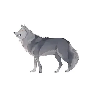 狼动物免抠