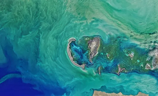 唯美高清油墨水彩背景