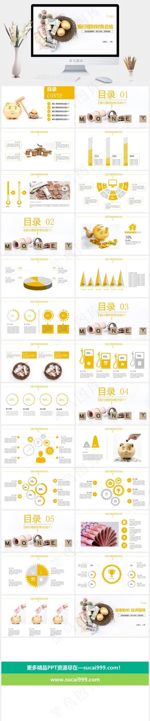 财务会计PPT模板ppt模版预览图