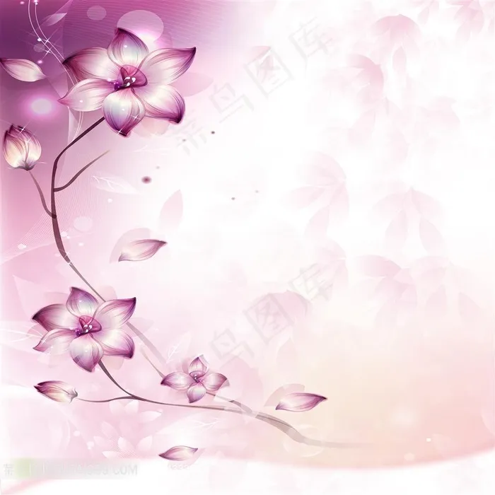 装饰画背景画无框画花纹