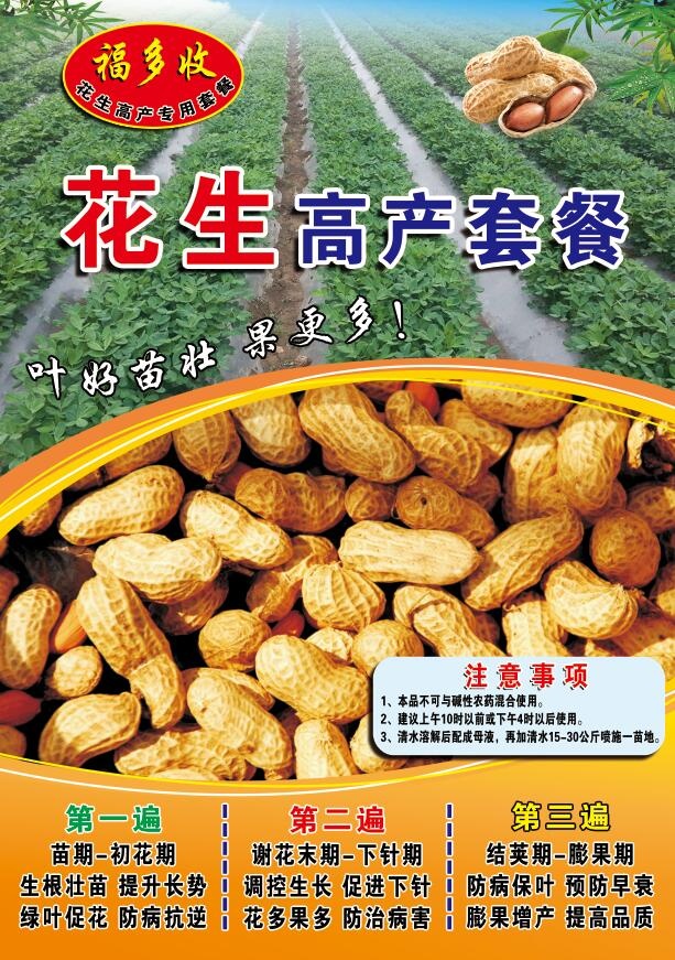 花生海报 花生宣传单