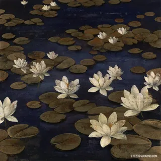 唯美荷花高清艺术插画