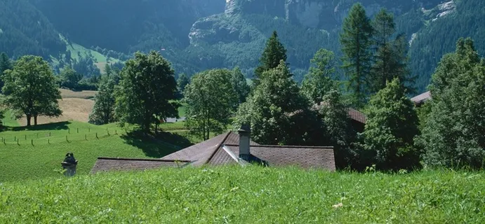 草地上树林间露出的房顶