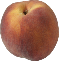 47_peach_PNG4870