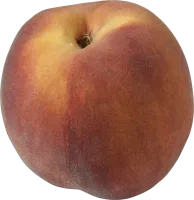 47_peach_PNG4870