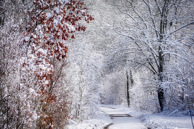 冬天白雪背景风景
