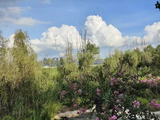 繁花似锦、风起云涌