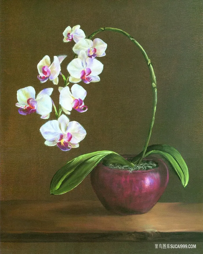 唯美花卉兰花油画