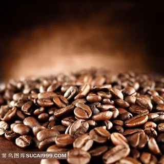 咖啡豆特写素材