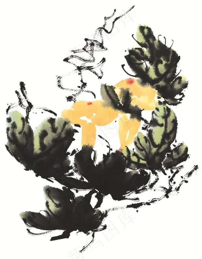 花卉系列jpg素材