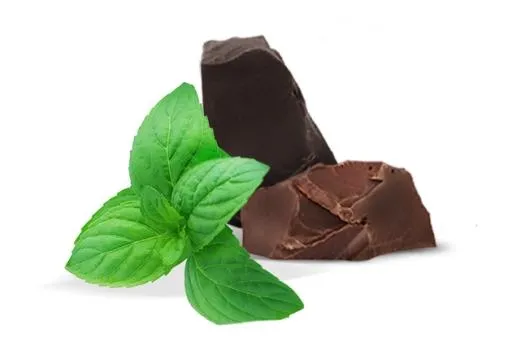 薄荷 PNG免抠(630x431)