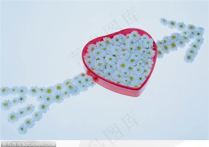 情人节物语-花朵拼成的心形