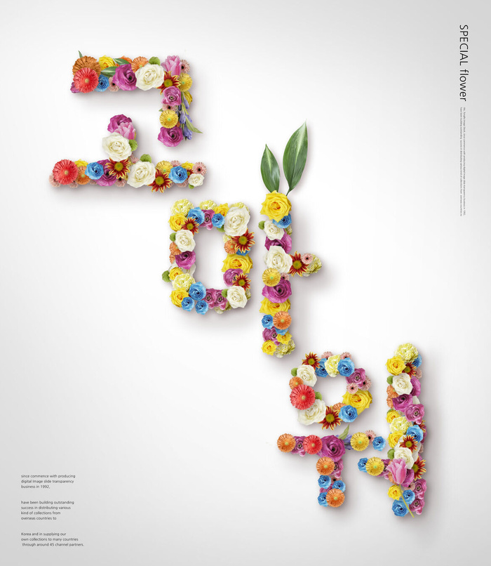 韩式花卉节日背景