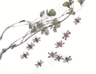 昆虫花草设计jpg素材