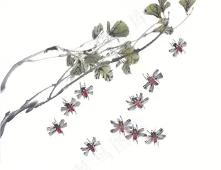 昆虫花草设计jpg素材