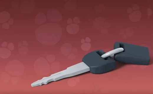 小汽车安全钥匙