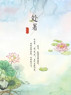 二十四节气处暑国风清新海报