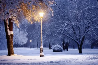 下雪天树下的路灯摄影图