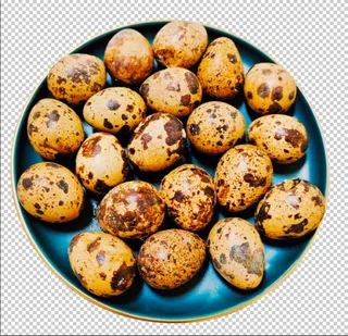 鹌鹑蛋免扣素材