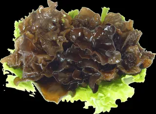 火锅配菜之木耳