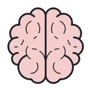 大脑 PNG免抠