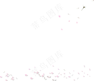 花瓣花朵免扣图片 