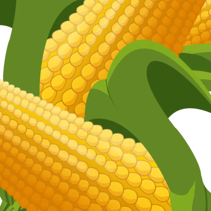 九月你好手绘卡通秋收玉米素材