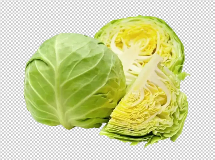 圆白菜免扣素材psd模版下载