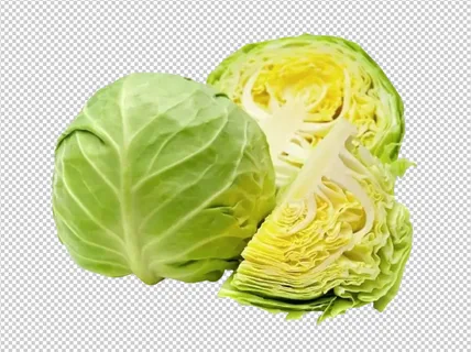 圆白菜免扣素材
