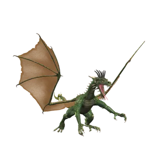 龙 飞龙火龙飞天龙喷火龙