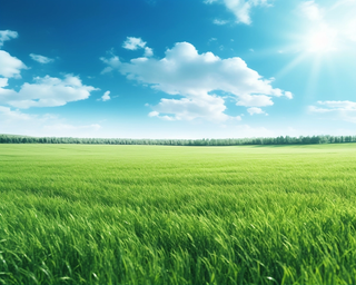 蓝天白云阳光明媚的绿油油的绿草摄影图