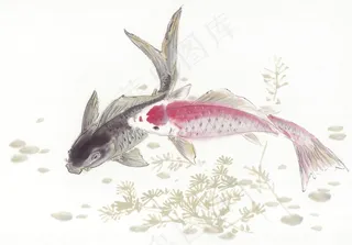 国画鱼虾蟹龟大图素材