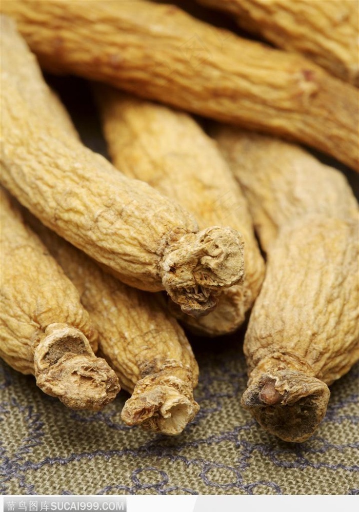 中医医疗-排放整齐的党参