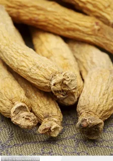 中医医疗-排放整齐的党参