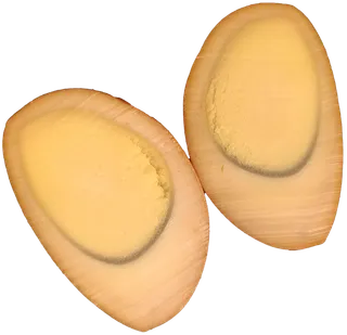 对开对切卤蛋盐焗蛋金黄色免抠元素实物摄影素材