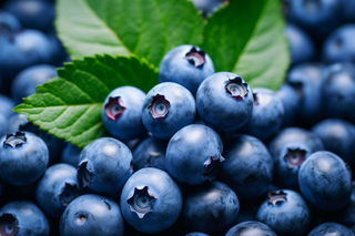 蓝莓水果摄影图