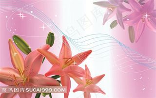 装饰画背景画无框画百合花