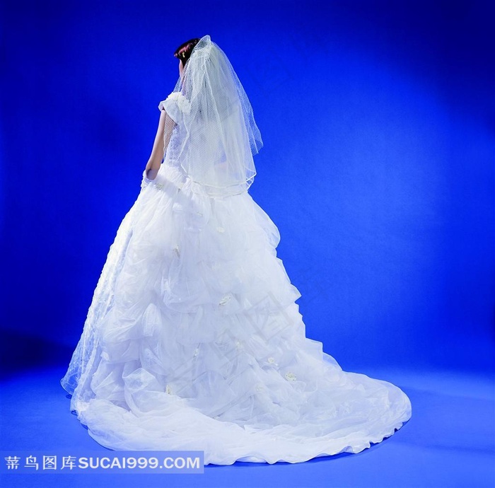 洁白公主婚纱背面摄影