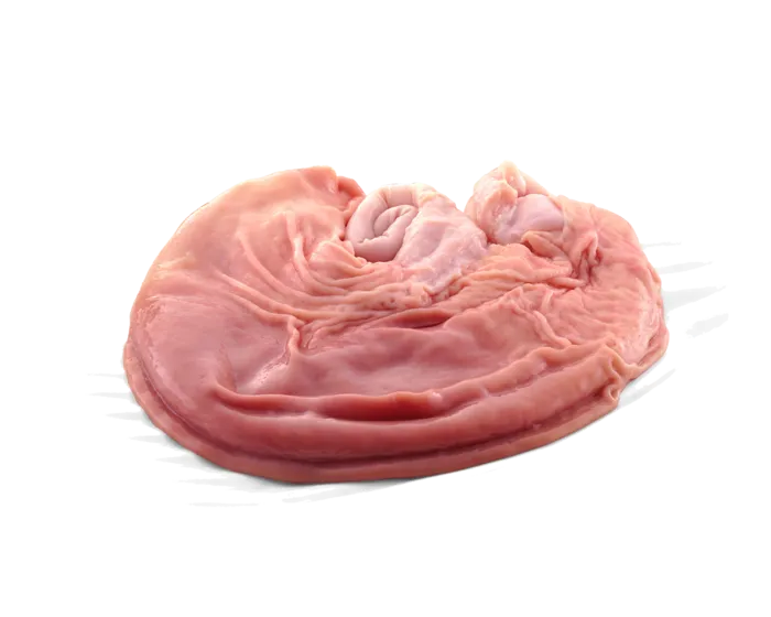 鹌鹑蛋 (超市商品白底图免抠实物摄影png格式图片透明底432