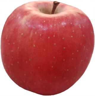 红苹果阿克苏免抠摄影元素素材