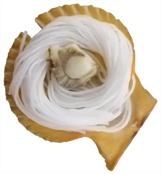 粉丝扇贝免抠摄影元素素材