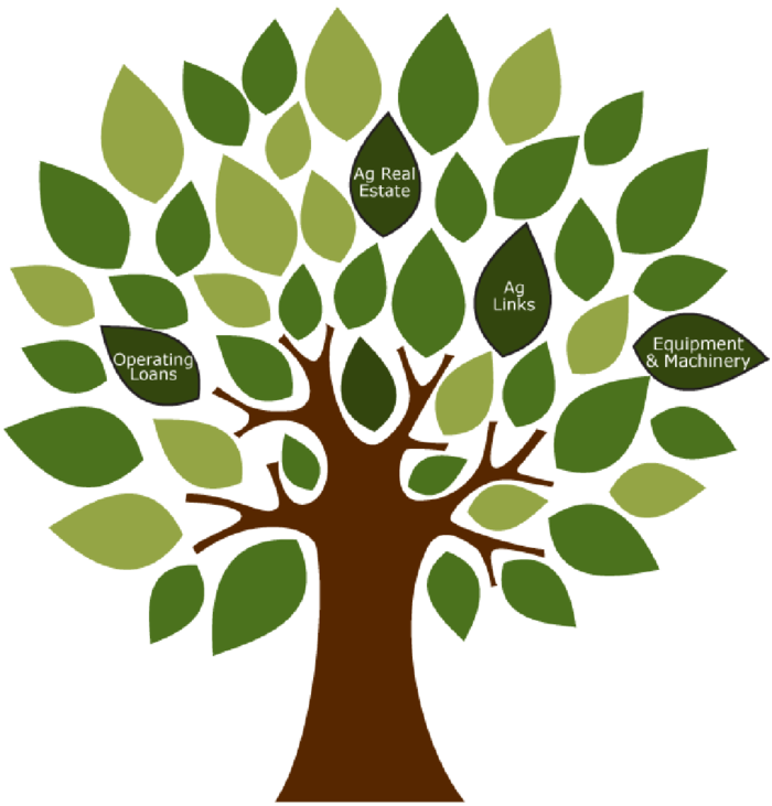 植物树现代农业