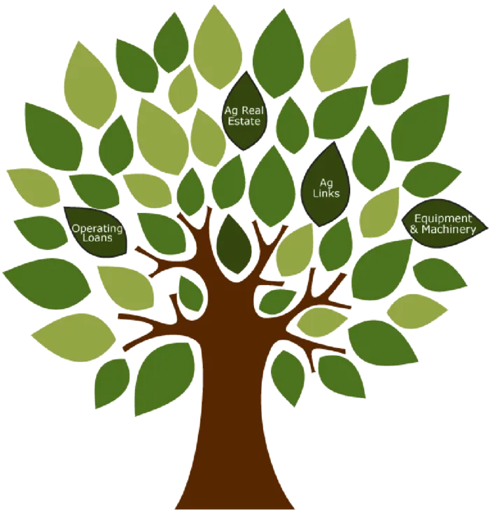 植物树现代农业